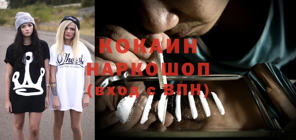 твердый Вяземский
