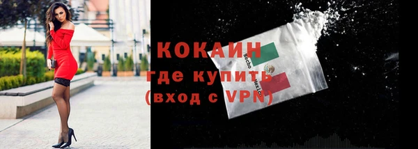 твердый Вяземский