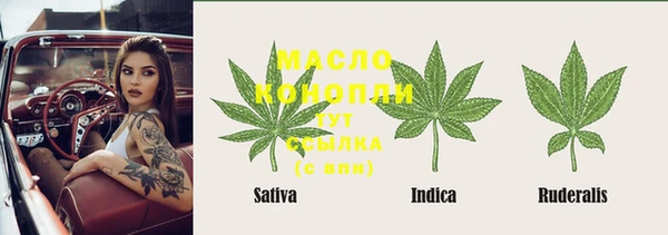 твердый Вяземский