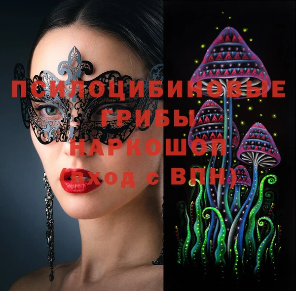 spice Вязьма