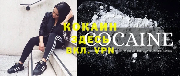 твердый Вяземский