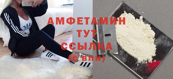 твердый Вяземский