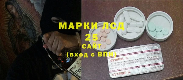 твердый Вяземский