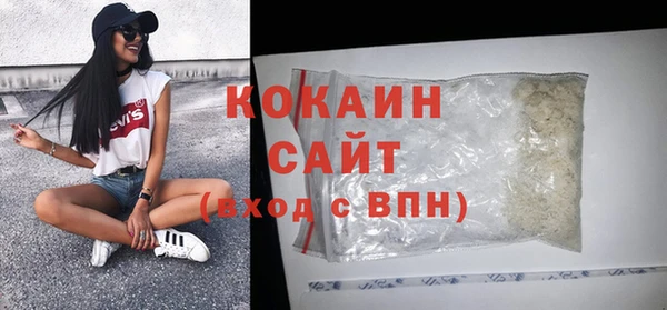 твердый Вяземский