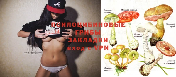прущая мука Вязники