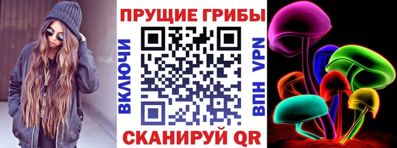 Купить где  Красноуральск  Галлюциногенные грибы Cubensis 